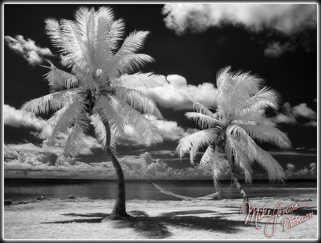 Paradise In Black And White
