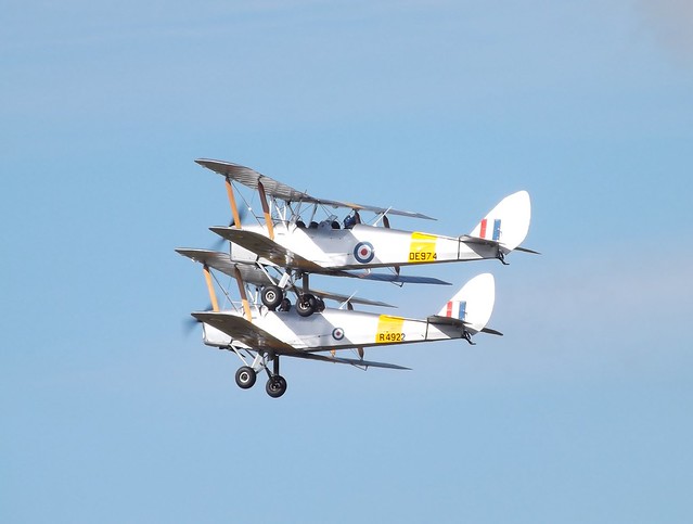 Classic Wings Tiger Moths