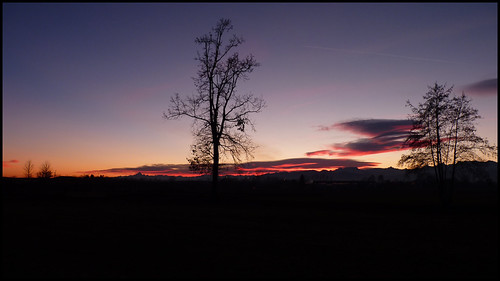 Non chiedo più nulla III by Luca Reano, trees sunset sky italy sun alberi night clouds dark evening twilight italia tramonto nuvole colours