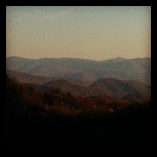 Sunset in NC by Shonna Nelson Studio, square squareformat hefe iphoneography instagramapp uploaded:by=instagram