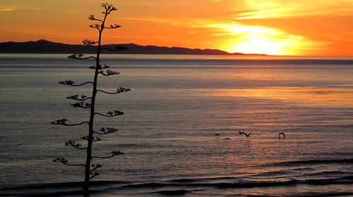 california sunsets pacificocean thesea channelislands lamer dasmeer venturaca