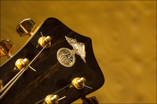 20130126_alembic_headstock