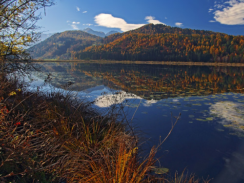 austria goesselsdorfersee lake kaernten autumn