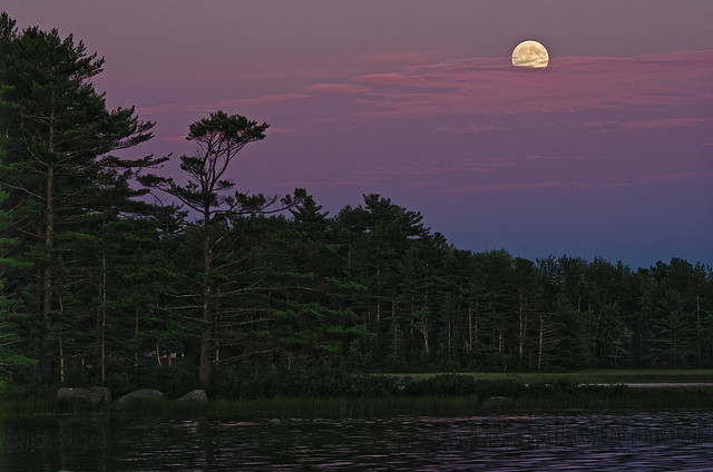 Maine Blueberry Moon