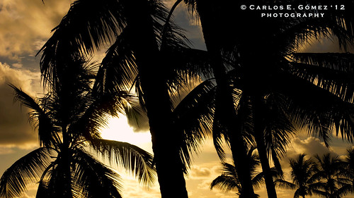trees sunset beach photoshop chica dominicanrepublic sony playa palmeras palm extended alpha boca domingo tropics santo slt santodomingo cs4 carlzeiss repúblicadominicana flickraward 1680mmf3545za photoshopcs4extended slta55v sonyalphaslta55v carlzeiss1680mmf3545zalens me2youphotographylevel1