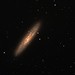 NGC 253 imaged by Dennis Zambelis