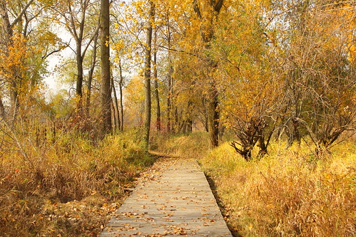 kewaunee marshlandwalk