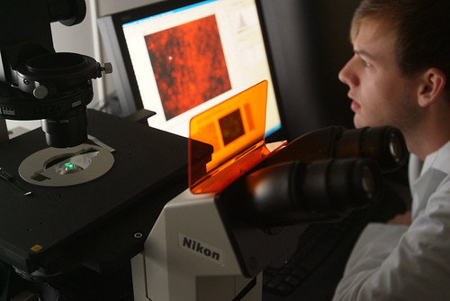 Research - Microscope