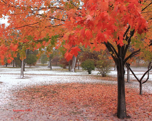 autumn trees winter landscape rosscounty chillicotheohio ohiofoothills hurricanesandy