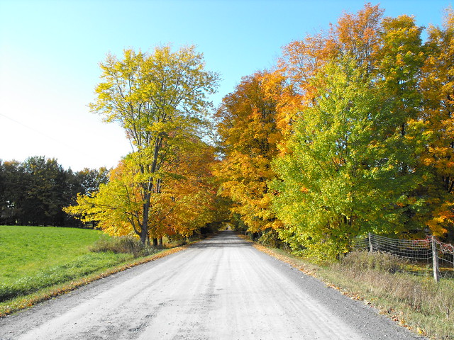 Country road in fall with great foliage
