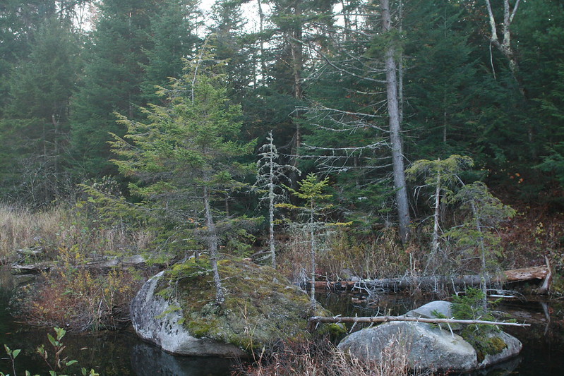 Woodbury, along the trail