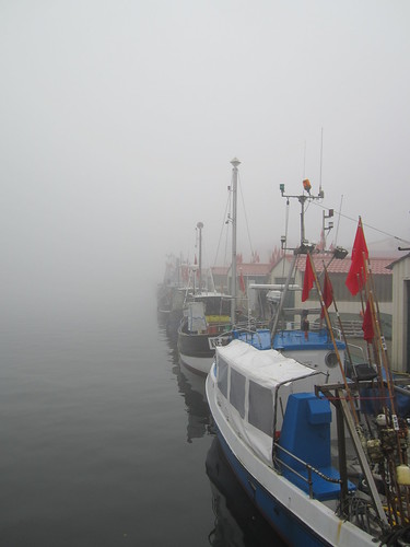 Im Nebel fischen | by old_olsen