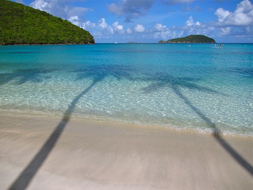 morning blue light sky beach water sunshine clouds sailboat island bay sand warm shadows bright relaxing warmth clarity peaceful sunny calm stjohn clear palmtrees tropical lush sup bouys coconuttrees mahobay paddleboarders