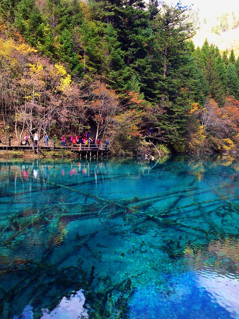 Tibet Juizhaigou iPhonography by SunDeepKulluDOTcom Torquise Coloured Lakes Panda Five Flower Mirror Lake