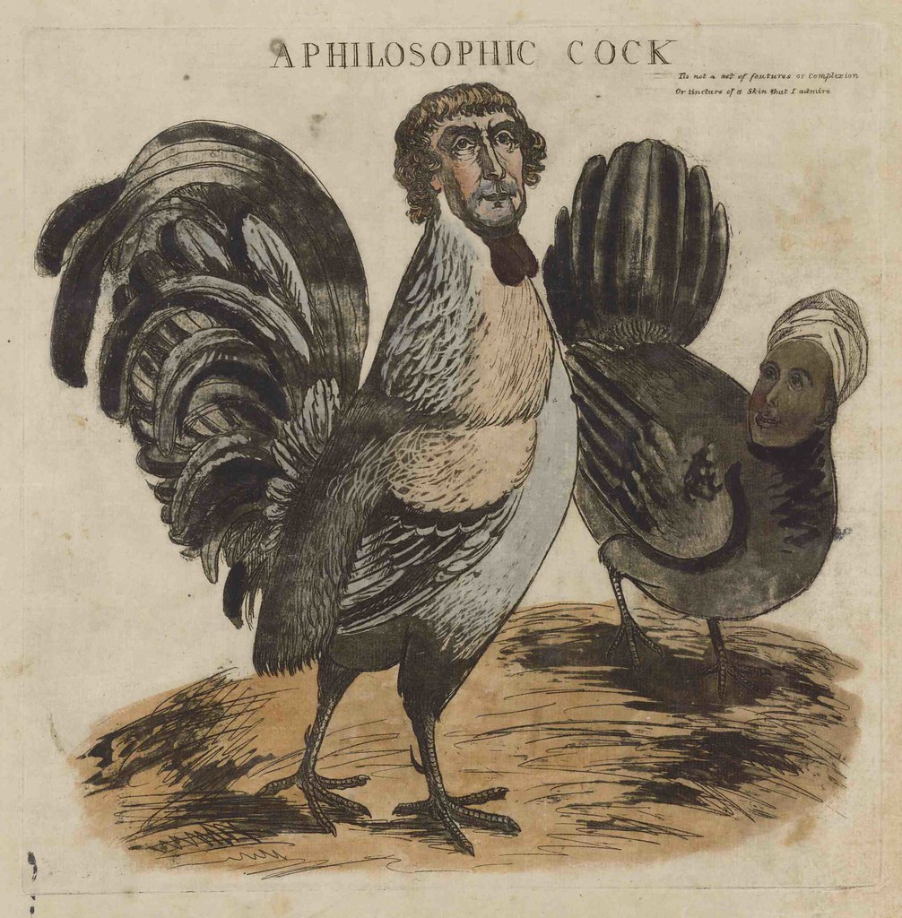 1804 cartoon of Jefferson as rooster | In this critical cart… | Flickr