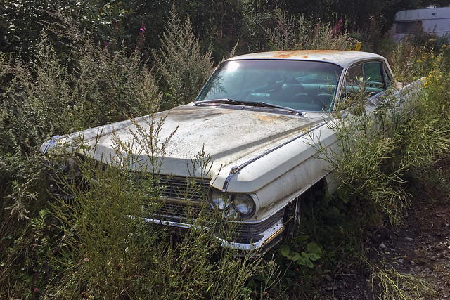 An abandoned Cadillac in the woods