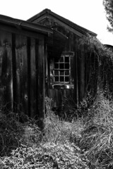 Abandoned Cottage B&W