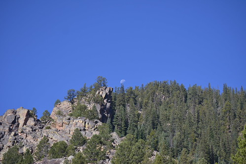 DSC_0165, 