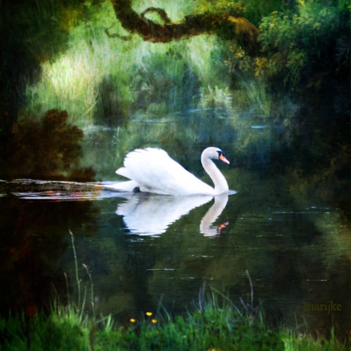 A romantic scene | by hemarijke