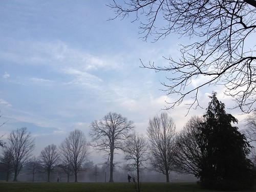 Misty Morning at Swarthmore