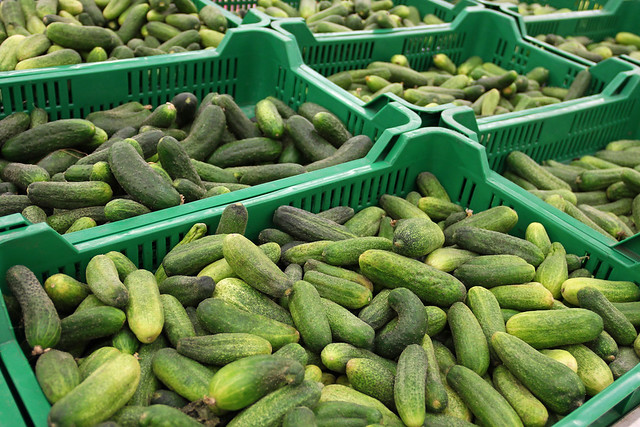 Supergreen - cucumbers on sale
