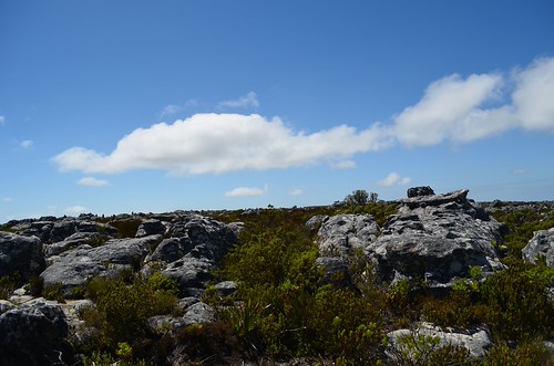 Cape Town