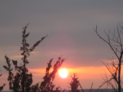 Sunset Over Fort Riley by sherrylynnsays, trees sunset sky sun clouds evening twilight dusk kansas fortriley