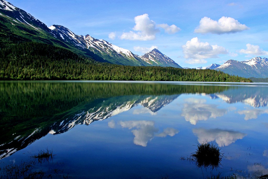 Lovely reflection north of Moose Pass, Alaska | This reflect… | Flickr