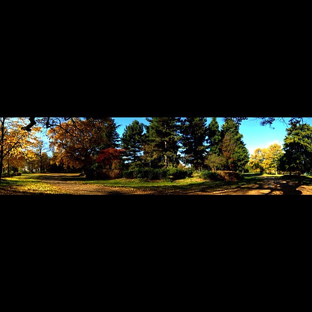 Panorama, autumnal colour