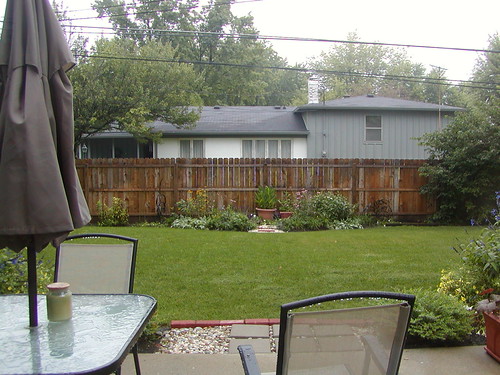 Backyard | by Kevin Majeski