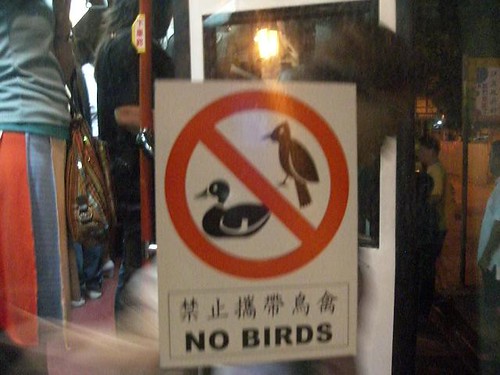 Interesting bird rules | by Omurden M. SEZGIN