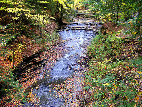 Fall Falls | by CountryDreaming