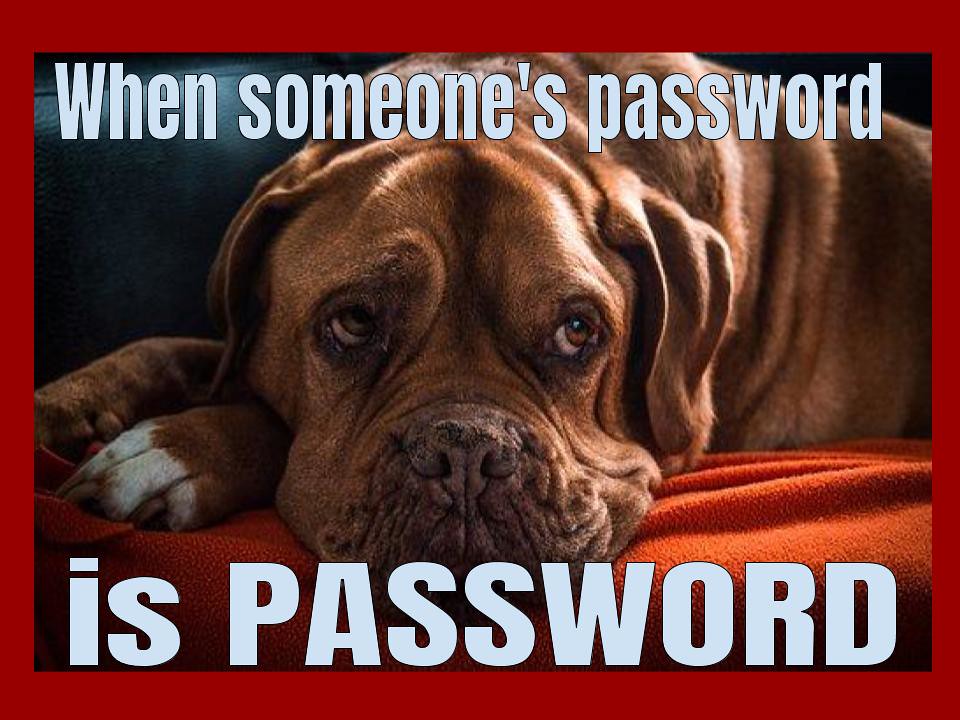 Dog:password is password