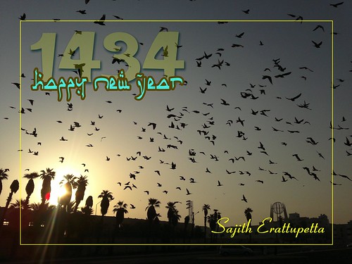new morning sun nature birds sunrise pigeons muslim islam year jeddah saudiarabia naturecolour sajitherattupetta