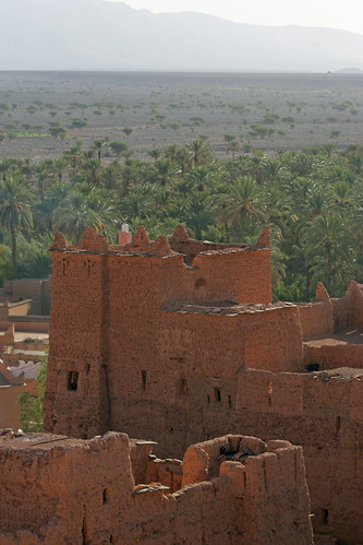morocco valley draa n12 nkob nekob