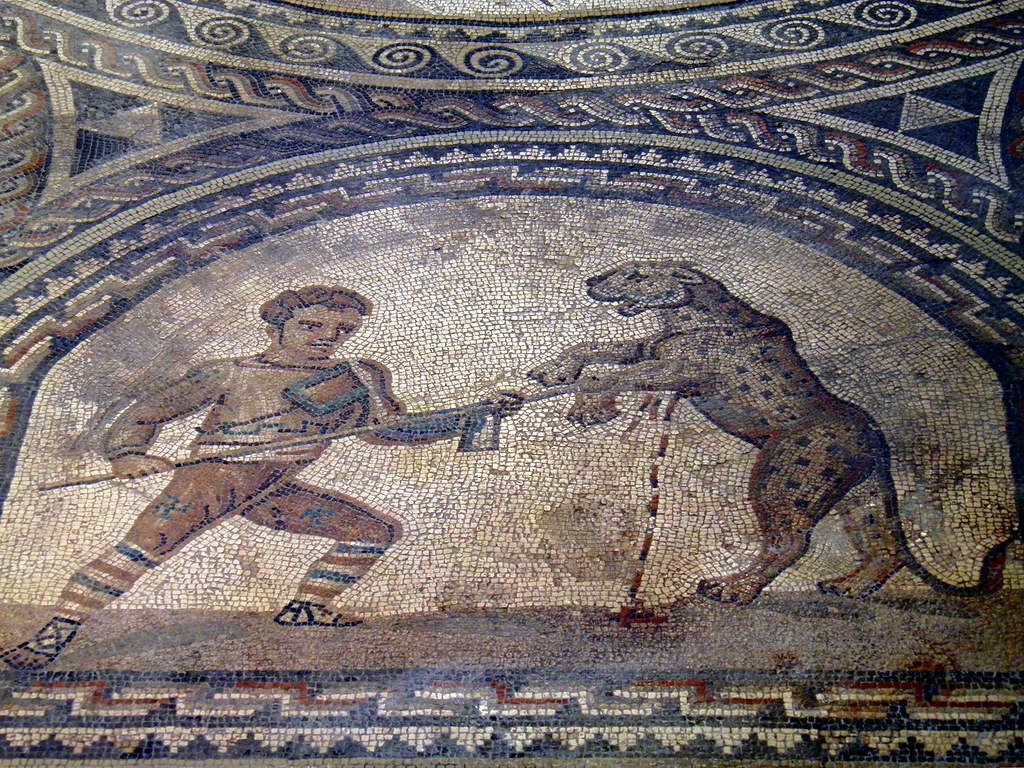 Detail of the Gladiator mosaic floor, a Venator fighting a… | Flickr