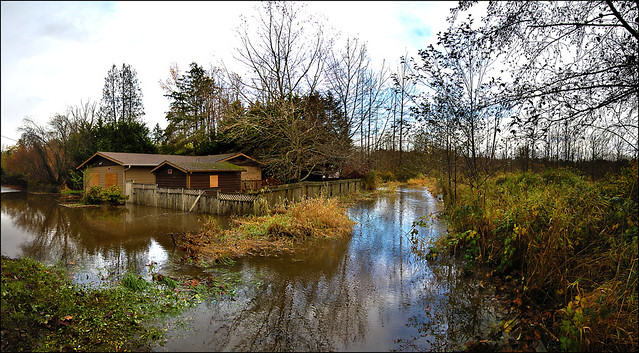 Flooded House, Kenmore, WA