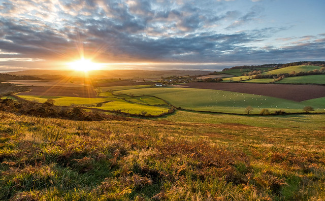 East Devon countryside