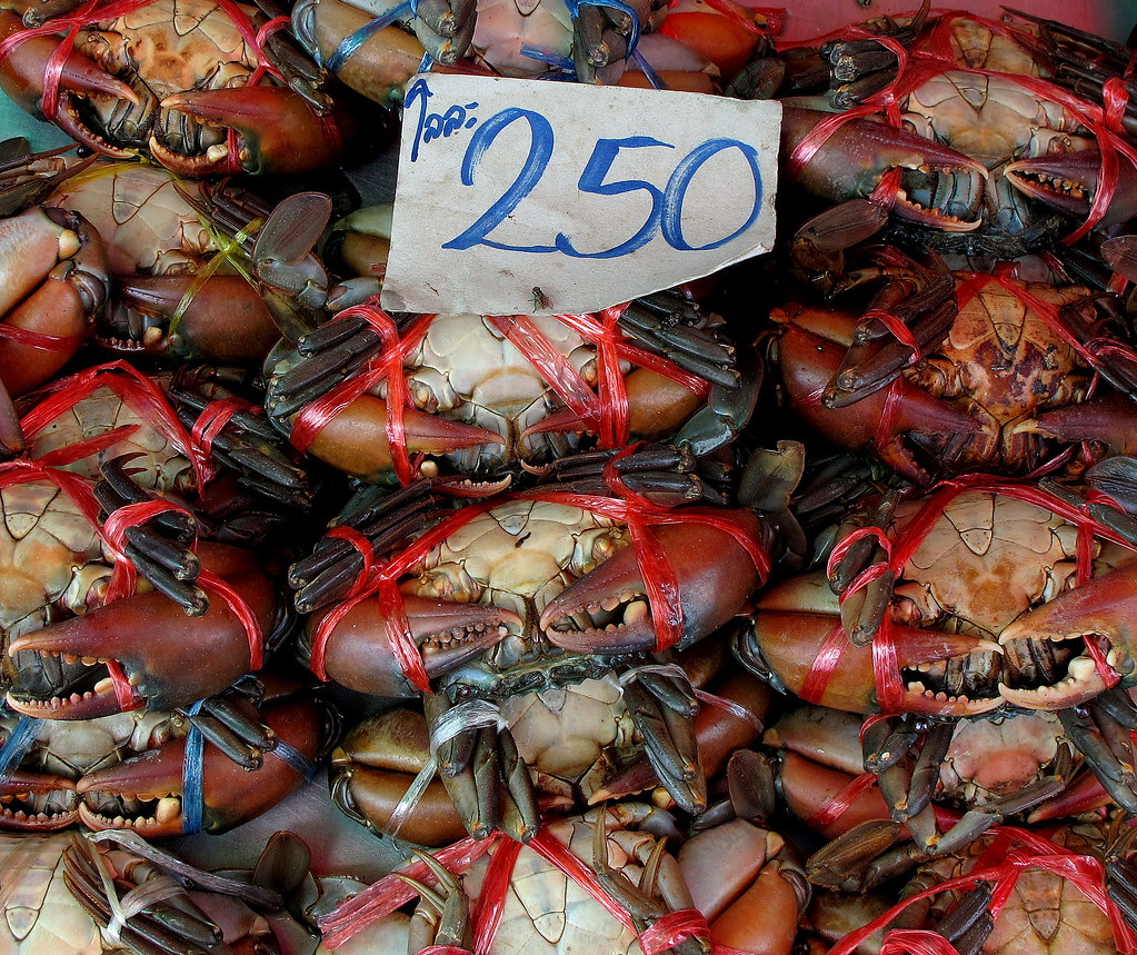 Fresh crab | Seen on a market near Bangkok. | __ PeterCH51 __ | Flickr
