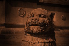 IMG_0004_20121127 'The Lion Head'