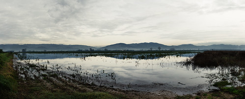 The Fucecchio Marshes - part 2 by Santini Roberto, winter sky italy lake reflection water fog clouds sunrise canon landscape lago italia nuvole view al