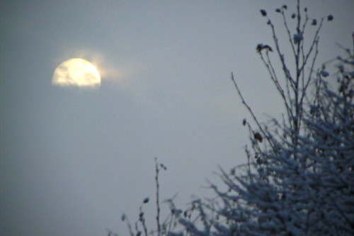 Sole freddo by Marco Cappoli, sun snow sunrise alba neve sole carpi