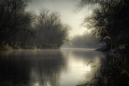 plants nature water grass fog illinois day unitedstates places rivers biological pecatonica treesleaves winnebagoco