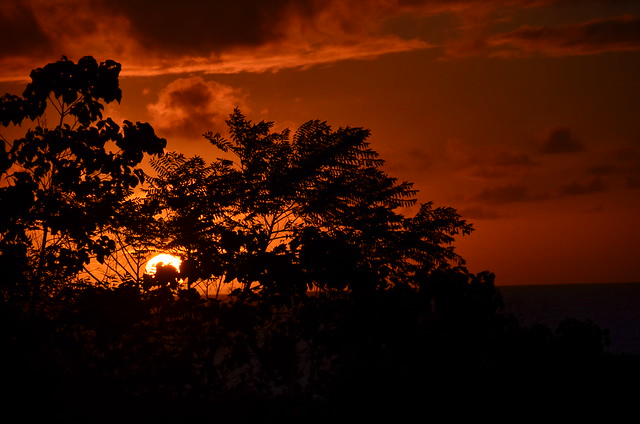 Sunrise in Puna (DSC_4484)