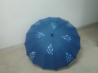 Paraguas Colección 2012