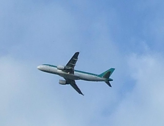 Aer Lingus Airbus (Small)