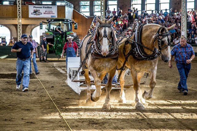 2016 Iowa State Fair