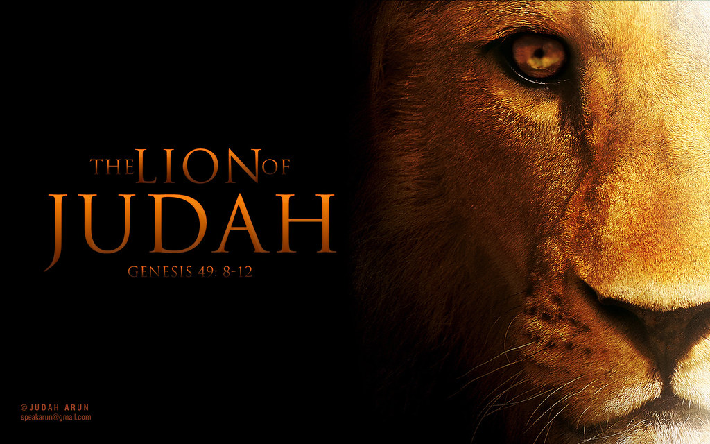 LION OF JUDAH | Genesis 49:8-12 | Judah Arun | Flickr