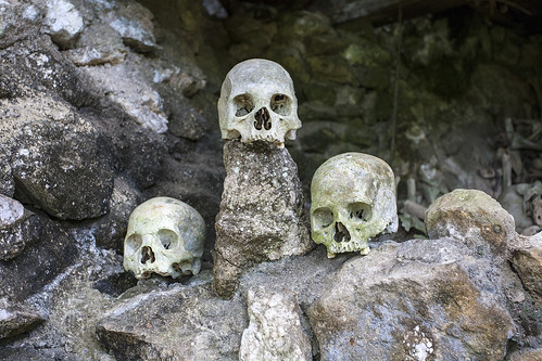 toraja skull bones hank888 sulawesi indonesia happyplanet asiafavorites