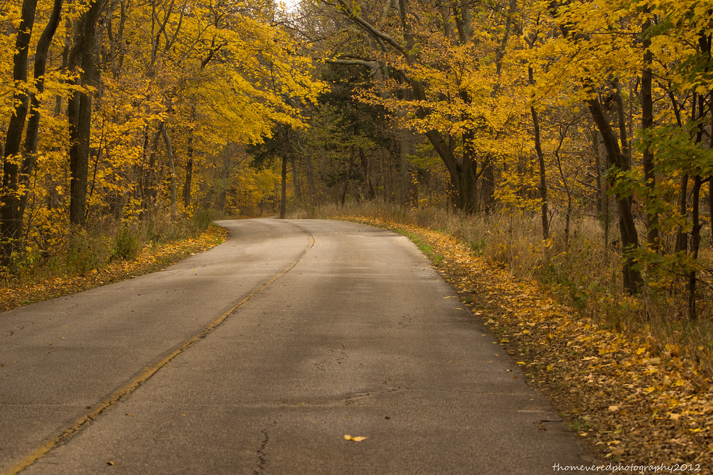 Fall colours at Point Pelee | View On Black Point Pelee Nati… | Flickr